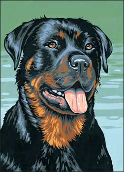 Ротвейлер - ротвейлер, порода, схема - оригинал