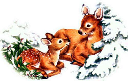 олени - оригинал