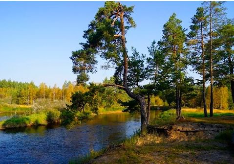 пейзаж - оригинал