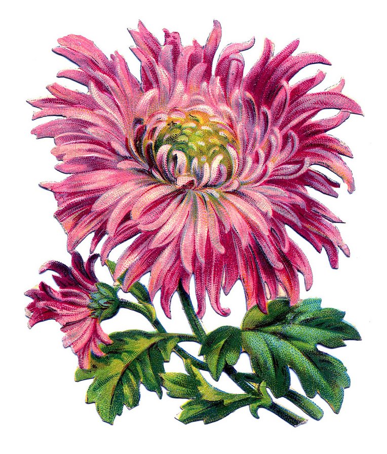 цветок - оригинал