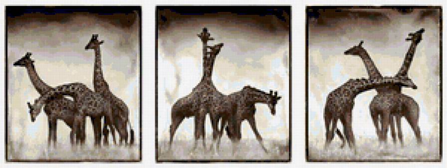Триптих Жирафы - жираф, жирафы, африка, животные - предпросмотр