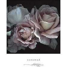 Схема вышивки «№207457»