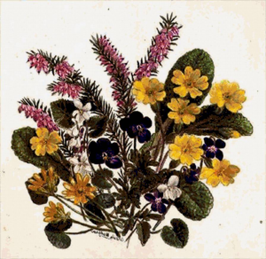 №207470 - предпросмотр