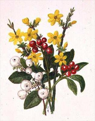 №207478 - оригинал