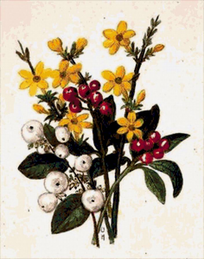 №207478 - предпросмотр