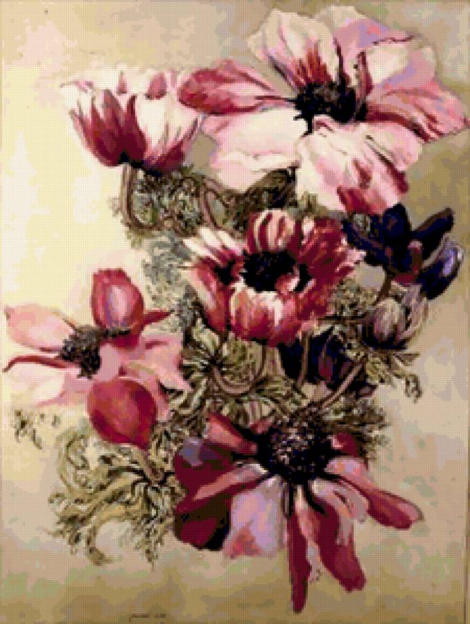 №207519 - предпросмотр