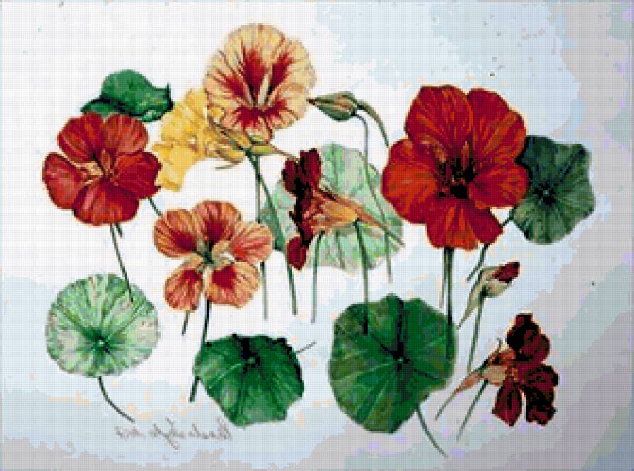 №207525 - предпросмотр