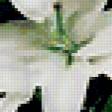 Предпросмотр схемы вышивки «Лилии» (№207543)