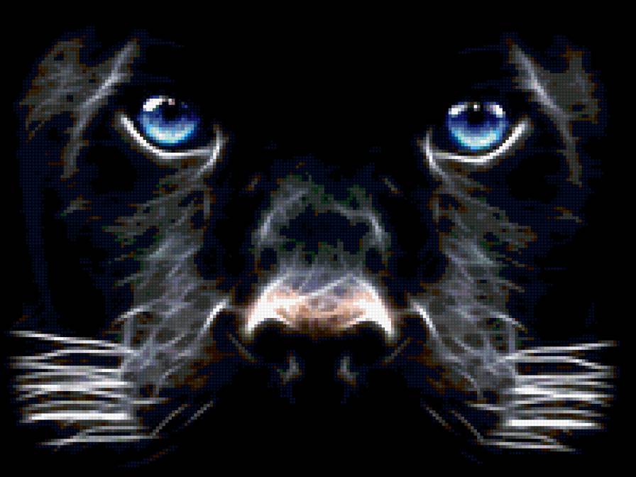 пантера - пантера, кошачьи, животные - предпросмотр