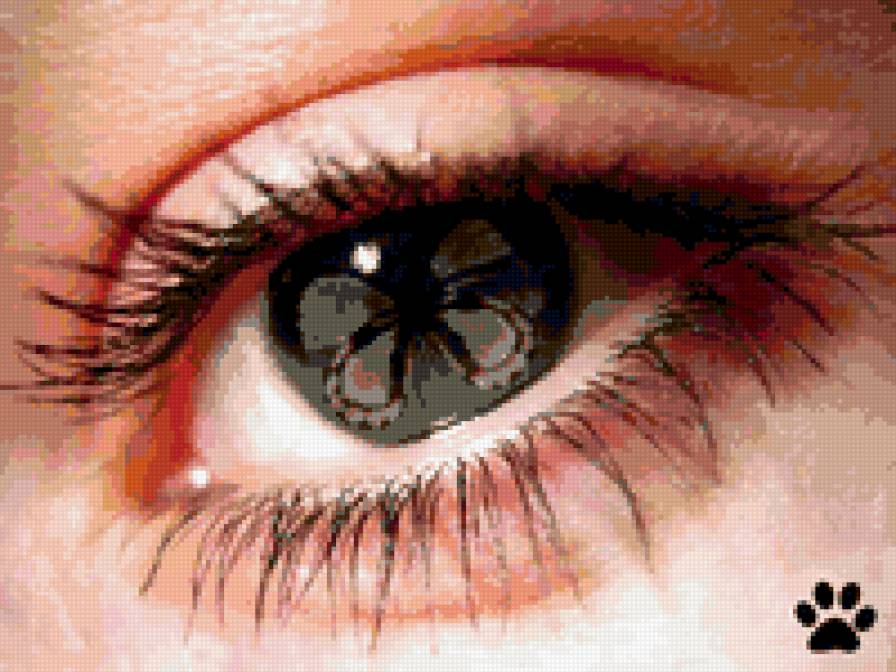 глаза - глаза, девушка - предпросмотр