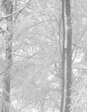 Схема вышивки «зима1»