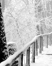 Схема вышивки «зима4»