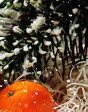 Схема вышивки «новый год3»