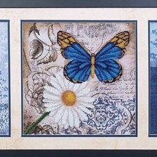 Схема вышивки «Триптих Ромашки и бабочка»