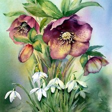 Схема вышивки «цветы»