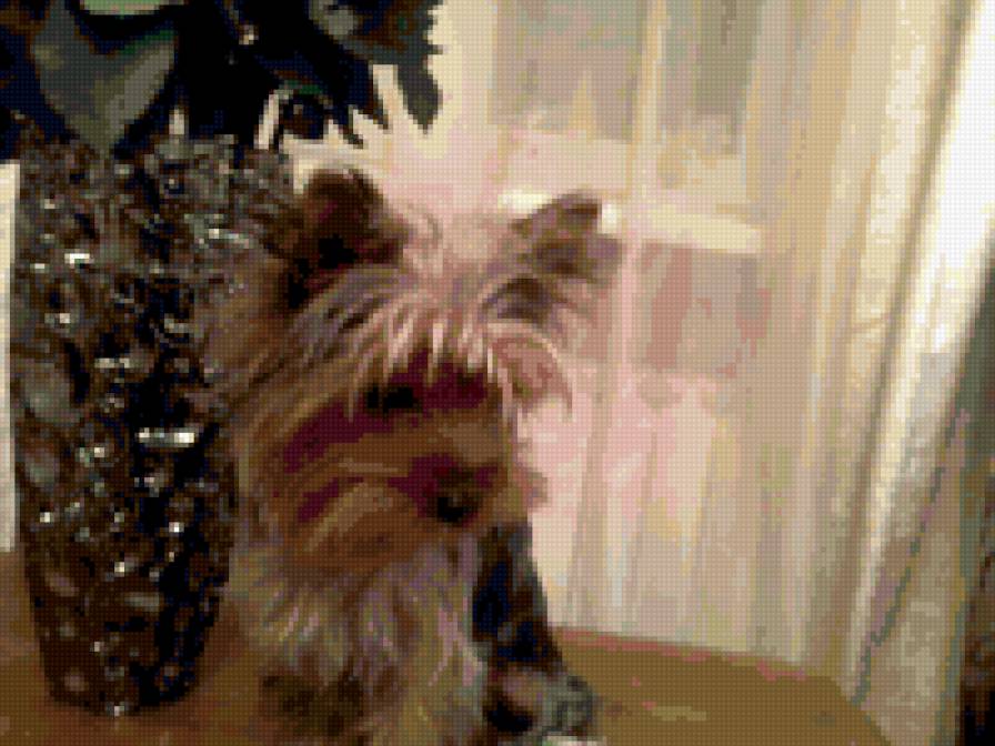 Ваня - предпросмотр