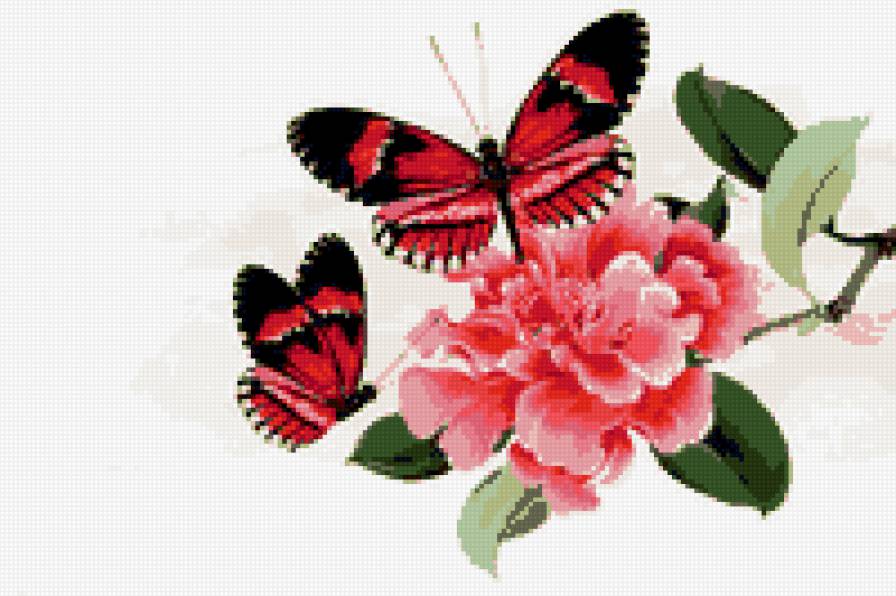 цветок - насекомые, бабочка, цветы, бабочки - предпросмотр