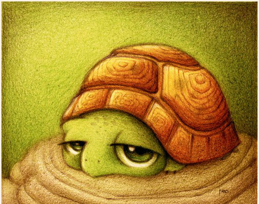 Черепашка - няша - оригинал