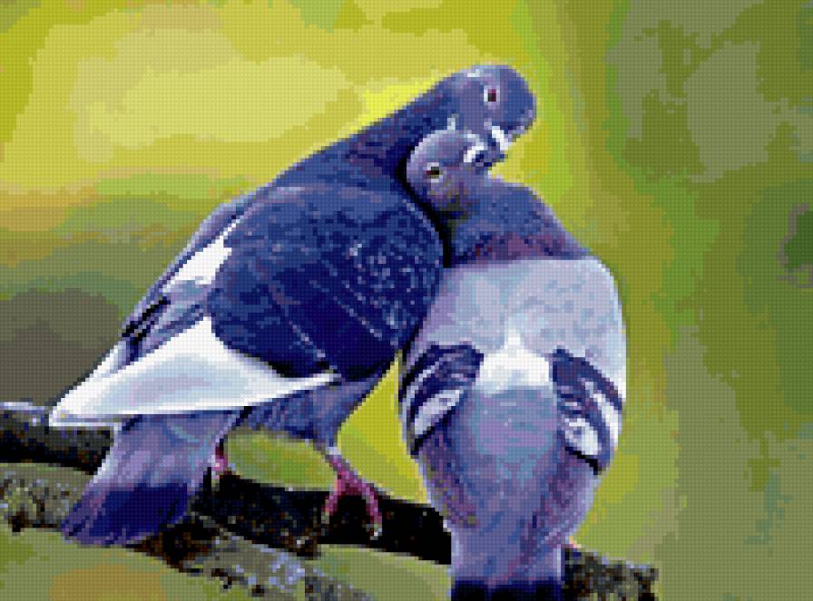 Голубки - романтика - предпросмотр