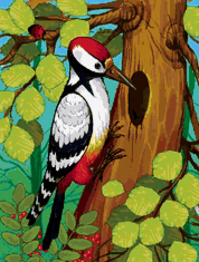 дятел - природа, птицы, дятлы, птица - предпросмотр