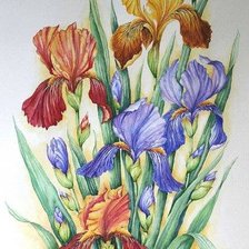 Схема вышивки «№208285»