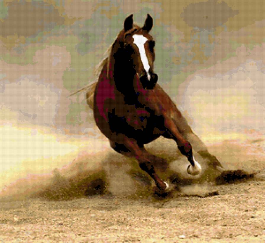 Пыль - лошади - предпросмотр