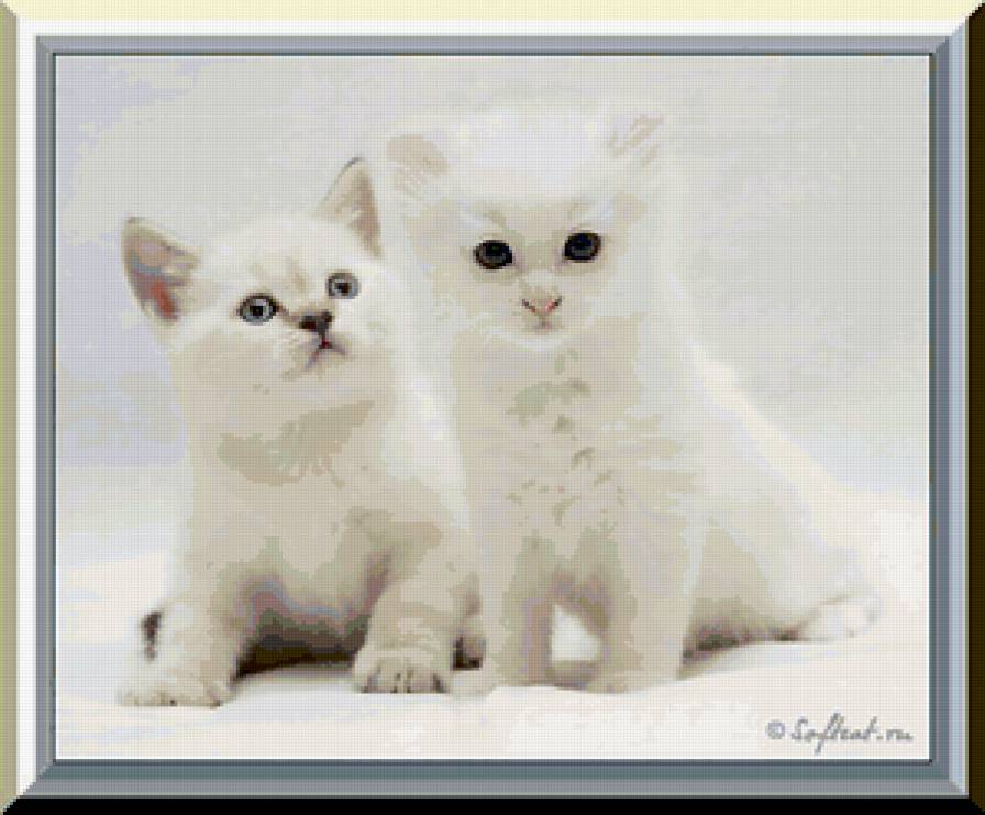 №208488 - предпросмотр