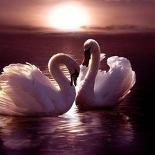 Схема вышивки «№208531»