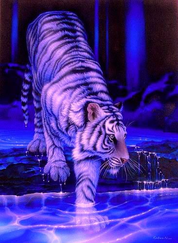 №208551 - оригинал