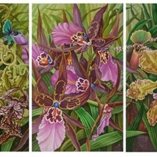 Схема вышивки «Орхидеи    (Триптих -общий вид)»