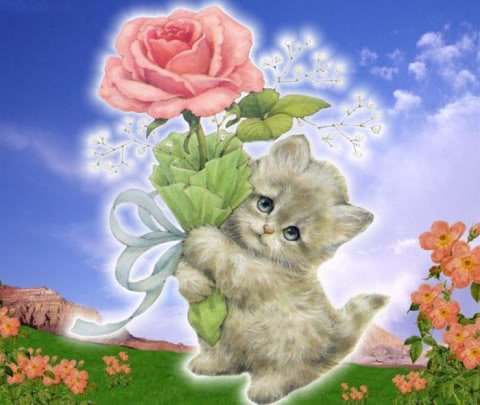 котенок с розой - оригинал