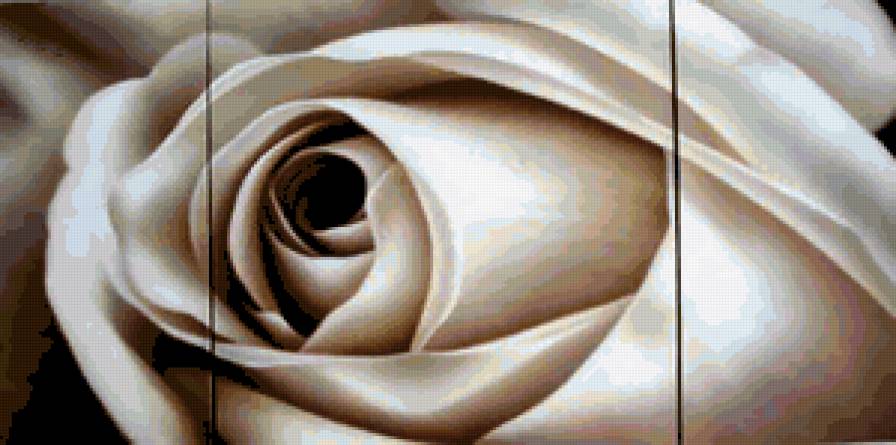 Триптих ''роза''  (общий вид) - роза, цветы, триптих, букет, черно-белое, розы, диптих, романтика - предпросмотр