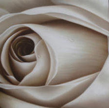 Оригинал схемы вышивки «Триптих ''роза''  (общий вид)» (№208697)