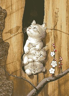 №208729 - оригинал