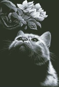 №208756 - оригинал