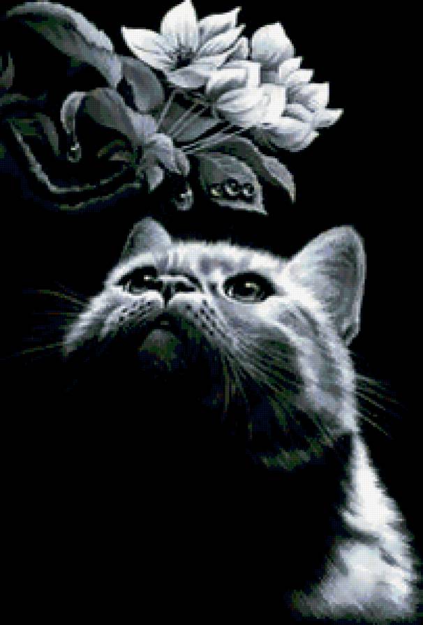 №208756 - предпросмотр