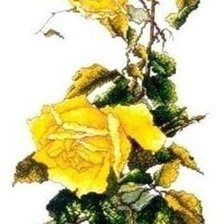 Схема вышивки «№208771»