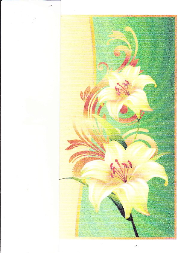 орнамент2 - орнамент цветы - оригинал