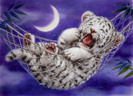 тигренок - тигр, луна, ночь - оригинал