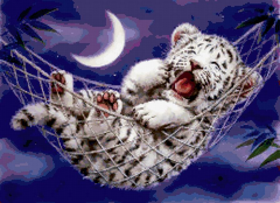 тигренок - тигр, ночь, луна - предпросмотр