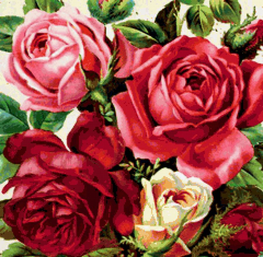 розы - натюрморт, романтика, природа, цветы, букет, розы - предпросмотр