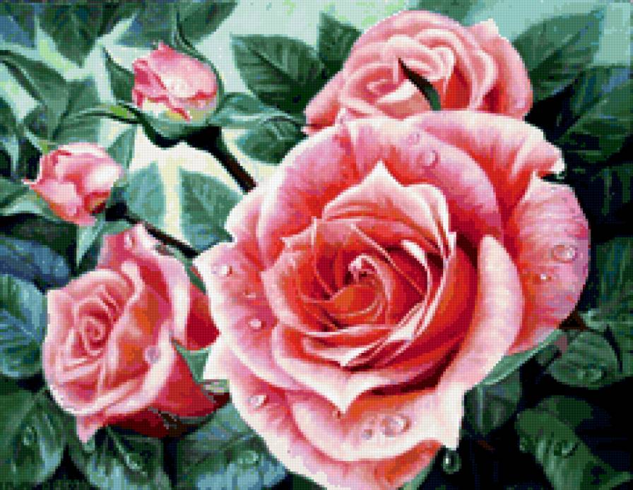 розы - букет, цветы, натюрморт, , природа, романтика - предпросмотр