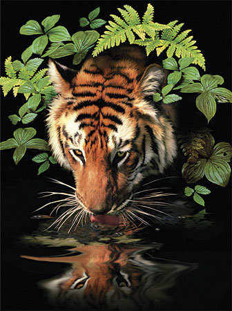 тигр - фауна, животные, природа, картина, тигр - оригинал
