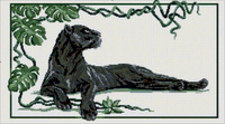 пантера - пантера - предпросмотр