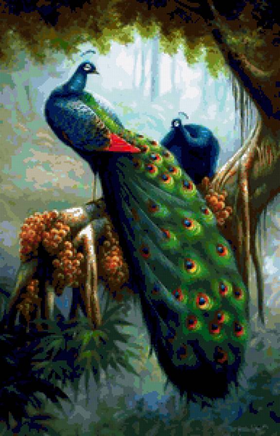 Райские птицы - павлин, павлины, птицa, двое, живопись, пара, девушка, птицы - предпросмотр