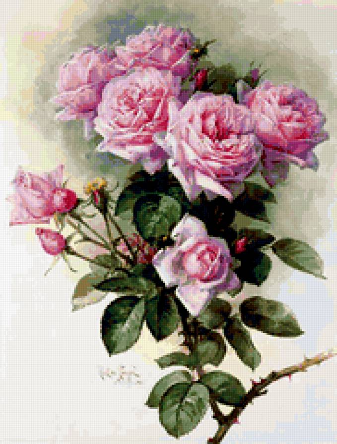 цветы - букет, , романтика, натюрморт, природа, цветы - предпросмотр