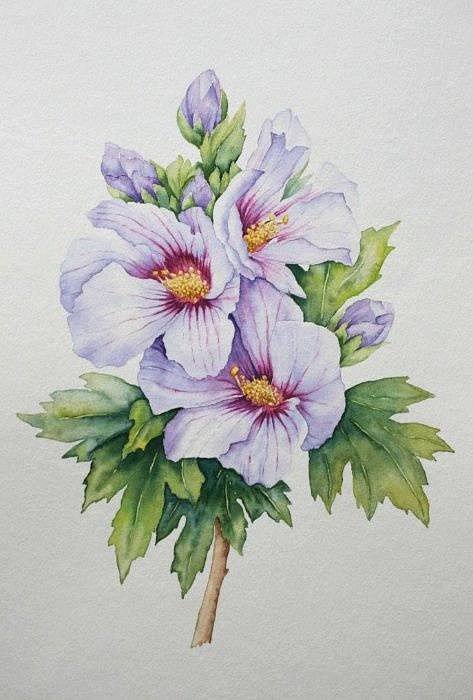 №209351 - оригинал