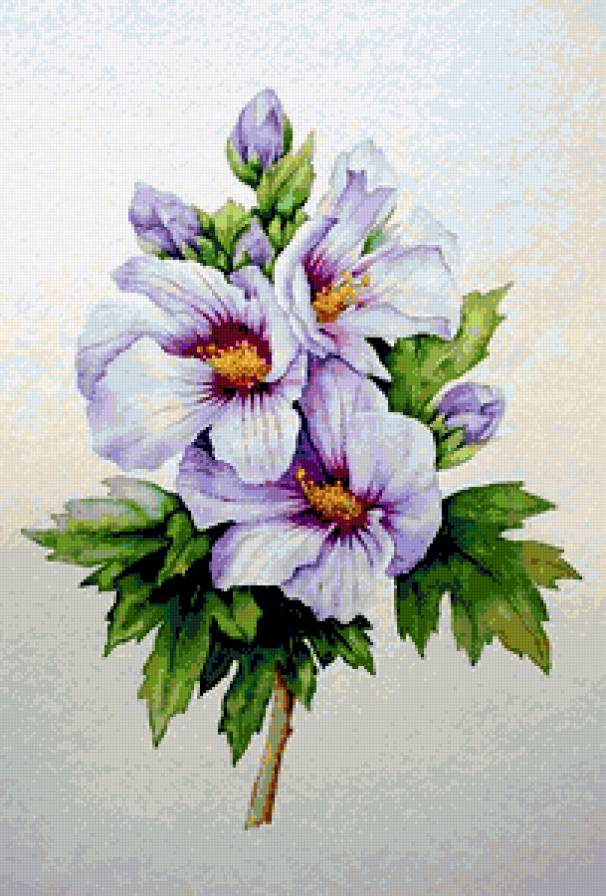 №209351 - предпросмотр