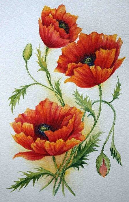 №209361 - оригинал