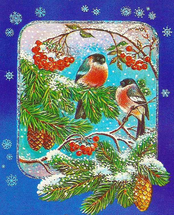 Снегири и рябина - ель, снегири, ягодки, снежинки, рождество, шишки, рябина - оригинал